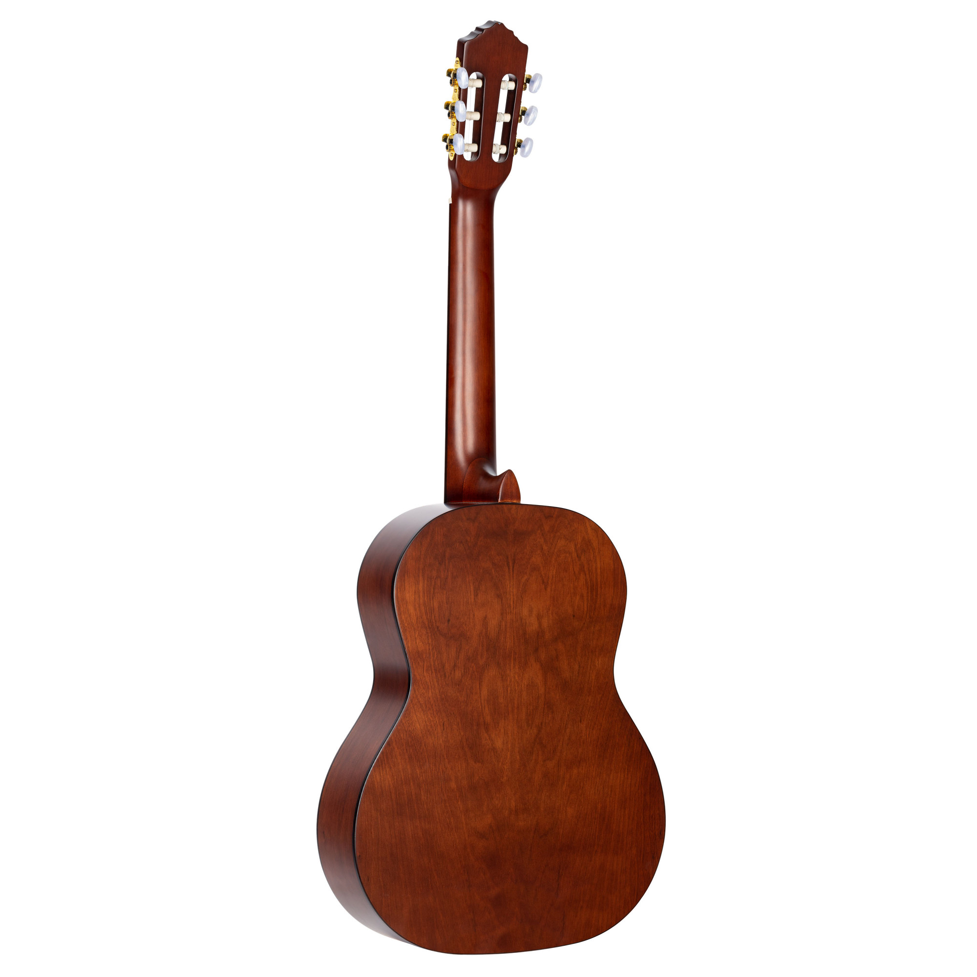 Ortega R55DLX